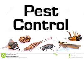 PEST CONTROL & CLEANING LTD